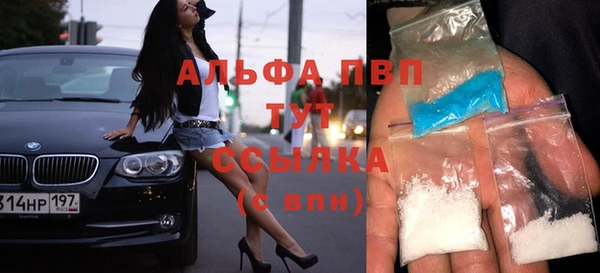 PSILOCYBIN Бабаево