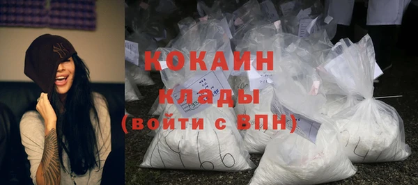 шишки Арсеньев